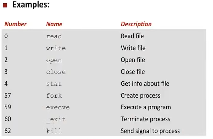 L14 Exceptional Control Flow: Exceptions and Processes L14 Exceptional Control Flow: Exceptions and Processes
